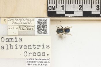 Media type: image;   Entomology 793325 Aspect: Labels